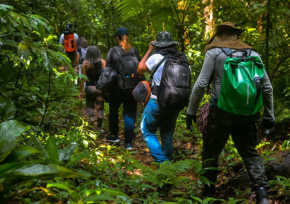 Leia mais sobre o artigo Explorando Destinos de Ecoturismo com a AFX Transportes: Uma Aventura Sustentável